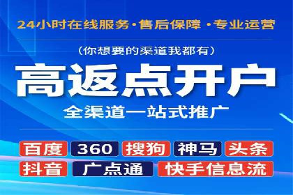 SEM代运营案例分析：精准投放策略解析